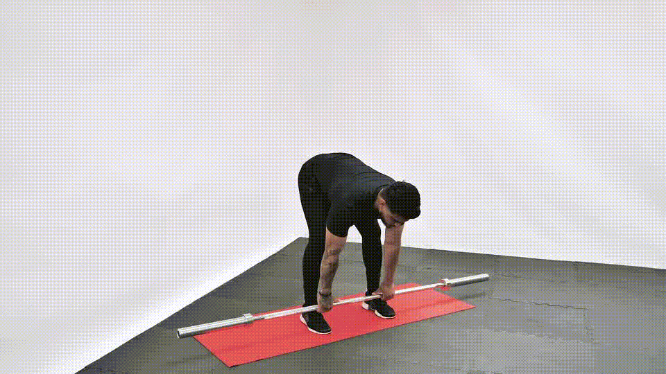 Barbell Romanian deadlift demonstration
